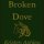 2014 Welcome Book : Broken Dove by Kristen Ashley