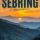My First Book Hangover in 2016 : Sebring